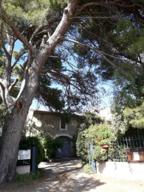 Гостиница Domaine de la Pinsonnière  Ла Ливиньер